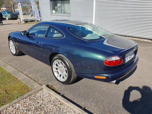 BF Auto