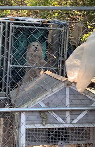 Florist «A Blooming Basket», reviews and photos, 8378 Veterans Hwy, Millersville, MD 21108, USA