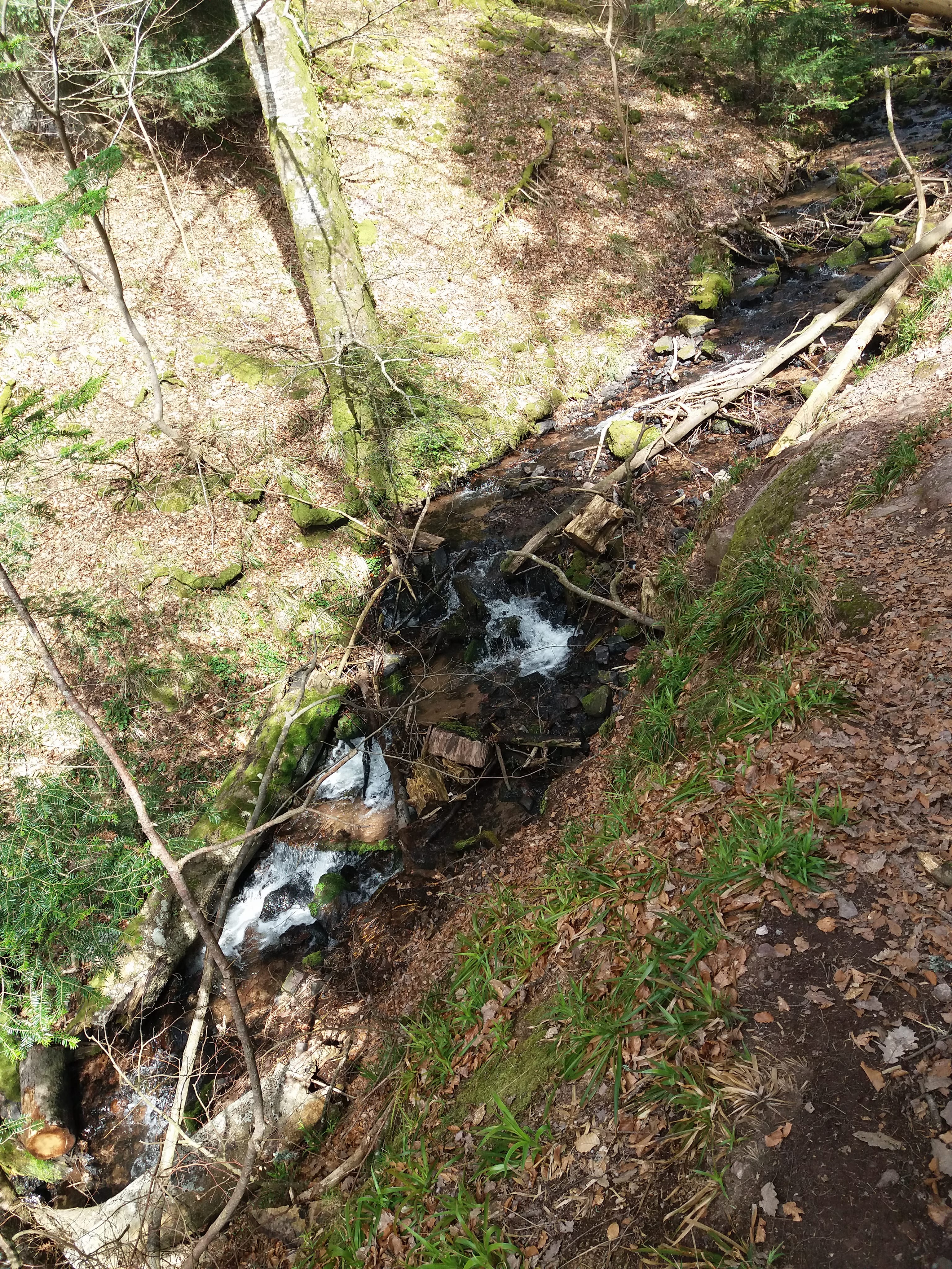 Photo n° 17 de l'avis de yann.a fait le 12/04/2018 à 05:08