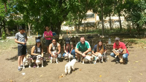 Parque para Perros 