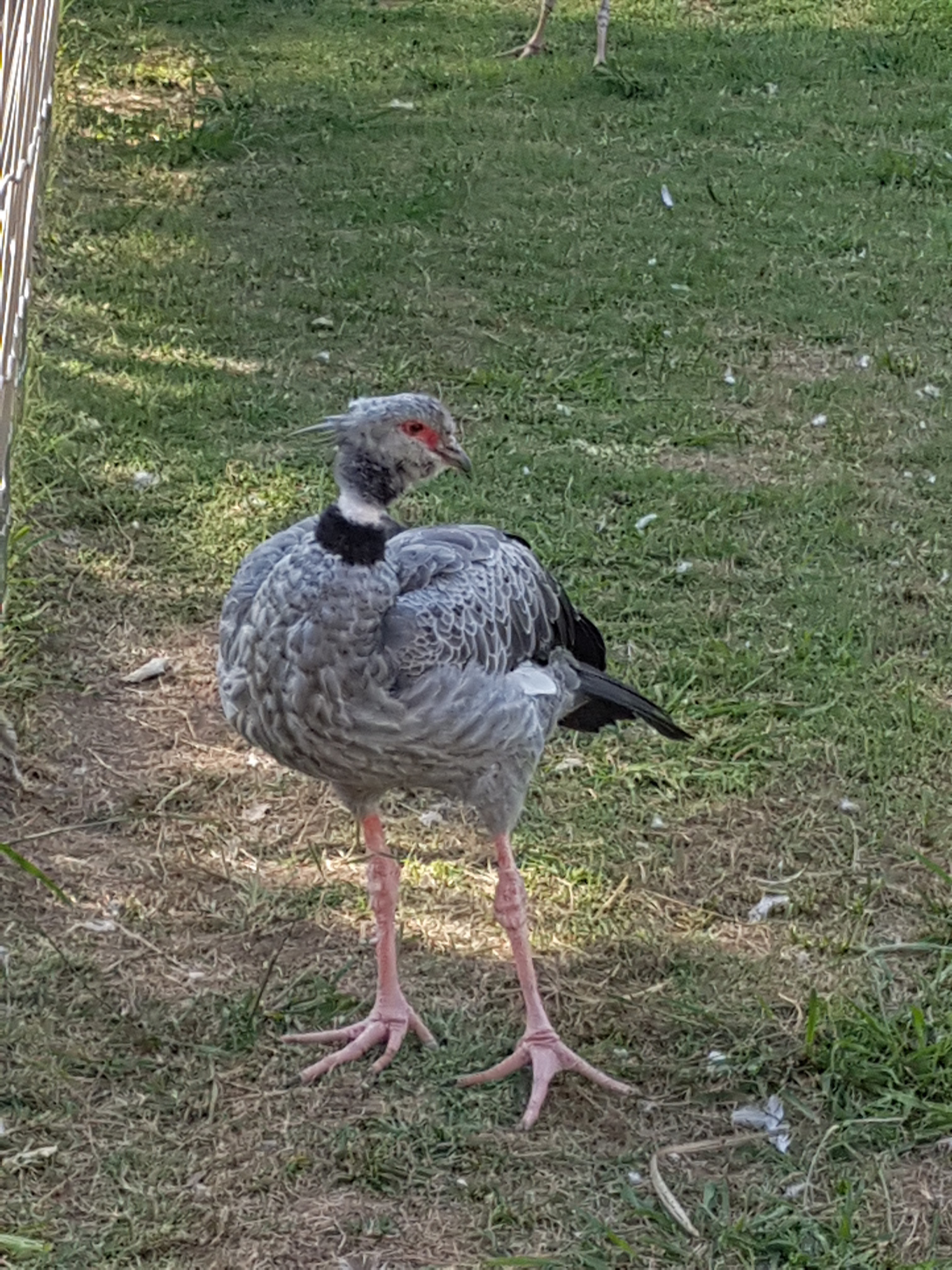 Photo n° 16 de l'avis de Armand.A fait le 09/09/2018 à 19:52