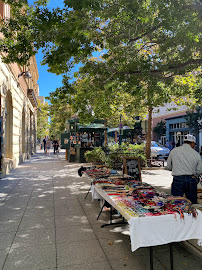 Santa Cruz Art Expressions