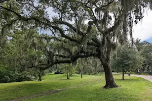 Audubon Park image