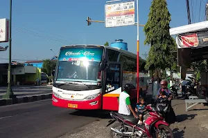 Agen Tiket Bus Malam Harapan Jaya Caruban image