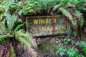 Winter Garden image