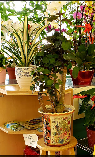 Supermarket «Arcadia Super Market», reviews and photos, 645 W Duarte Rd, Arcadia, CA 91007, USA