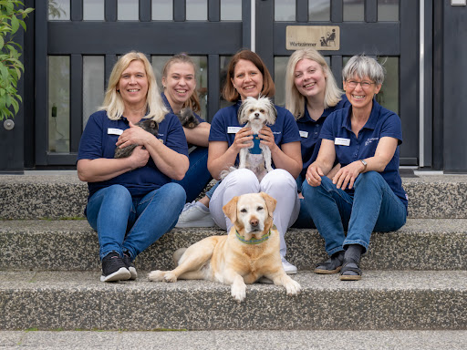 Tierarzt Bad Schönborn, Tierarztpraxis am Alten Bach unter Bad Schönborn, Baden Württemberg