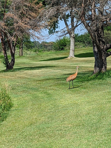 Golf Course «Grand Geneva Golf Courses», reviews and photos, 7036 Grand Geneva Way, Lake Geneva, WI 53147, USA