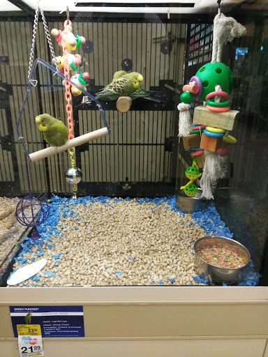 Pet Supply Store «PetSmart», reviews and photos, 1919 Wells Rd, Orange Park, FL 32073, USA