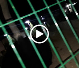 Prof. Agr. Alberto Carvallo Botanical Garden photo