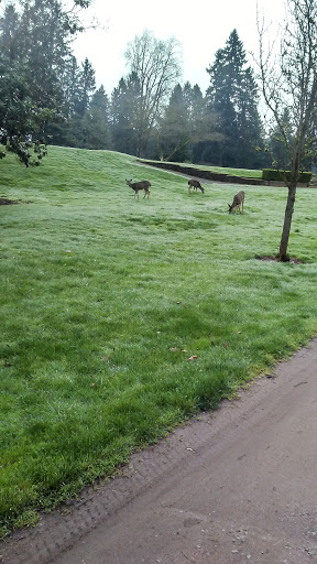 Golf Course «Willamette Valley Country Club», reviews and photos, 900 Country Club Pl, Canby, OR 97013, USA