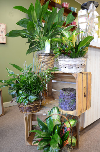 Florist «The Village Flower Shop», reviews and photos, 132 S Addison St, Bensenville, IL 60106, USA