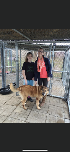 Paws Here Veterinary Services Ltd image