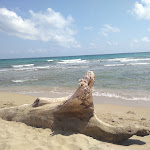 Photo n°1 de l'avis de Maryse. fait le 02/07/2023 à 11:27 sur le  Plage Soleluna à Lecce