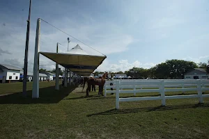 Terengganu International Endurance Park image