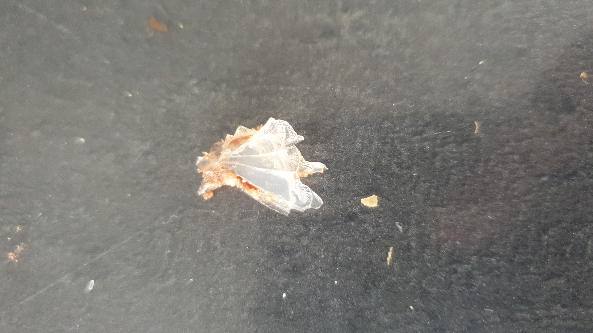 Photo n° 2 de l'avis de Herwan.h fait le 29/09/2020 à 06:18