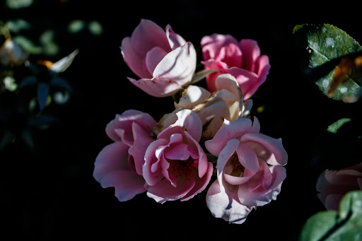 Park «Draper Historical Park», reviews and photos, 12625 900 E, Draper, UT 84020, USA