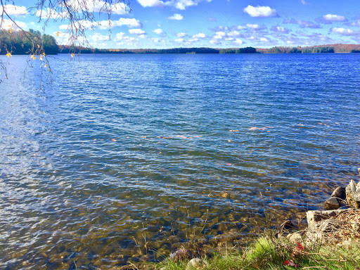 Real Estate Agency «JOLIN-LASIER GROUP | Coldwell Banker, Mulleady Inc. | Minocqua, WI Real Estate | NorthWI.property», reviews and photos, 8262 US-51, Minocqua, WI 54548, USA