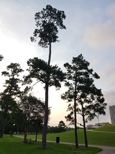 Performing Arts Theater «Miller Outdoor Theatre», reviews and photos, 6000 Hermann Park Dr, Houston, TX 77030, USA