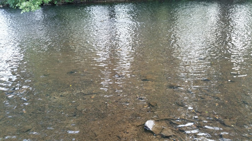 Chevrolet Dealer «Schumacher Chevrolet of Denville», reviews and photos, 281 US-46, Denville, NJ 07834, USA