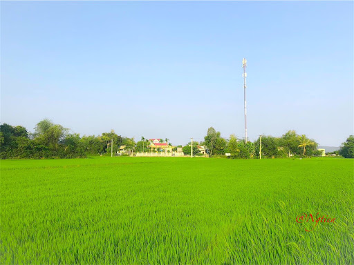 Hồ mới