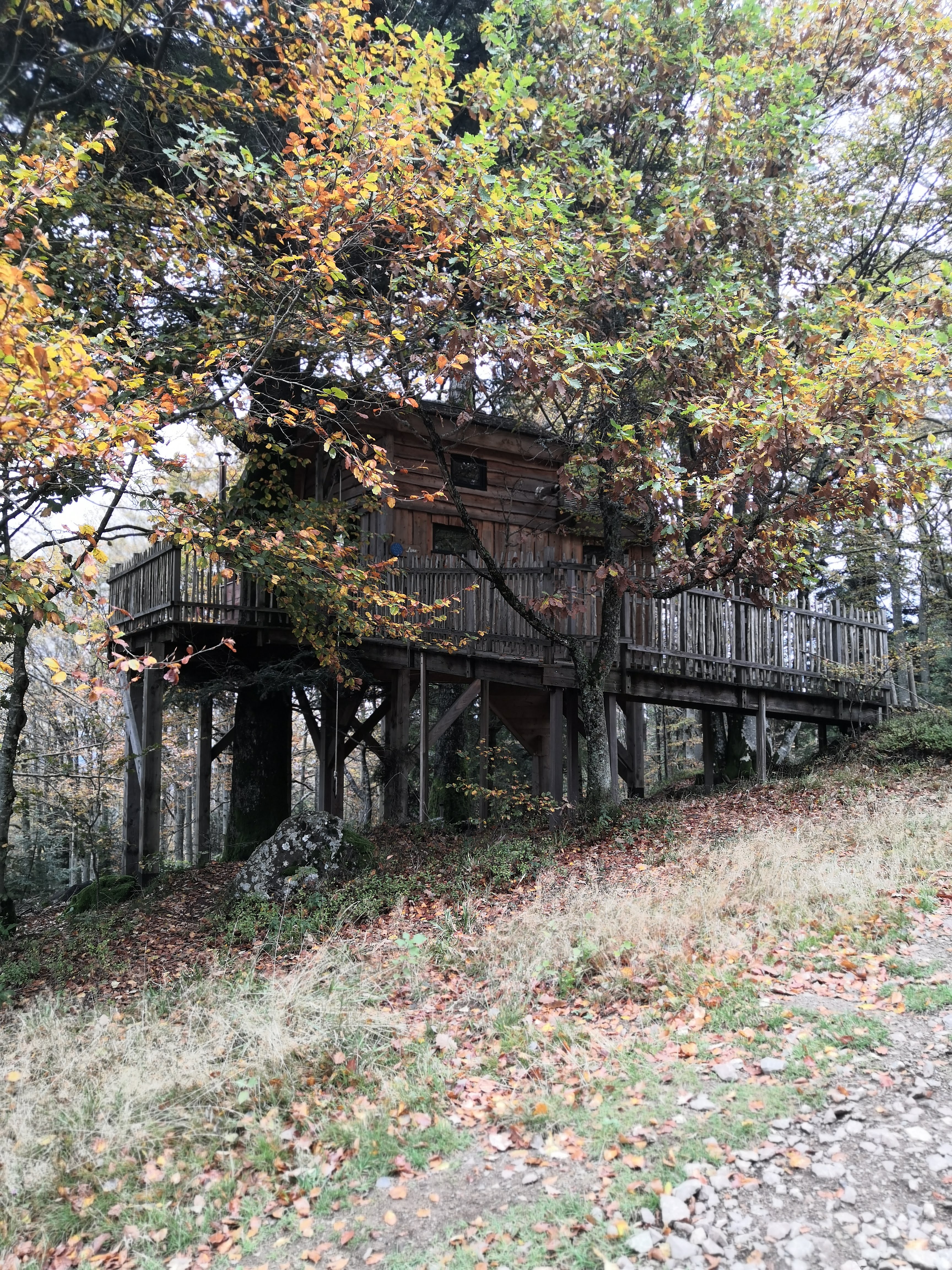 Photo n° 2 de l'avis de Brice.u fait le 21/10/2019 à 19:00