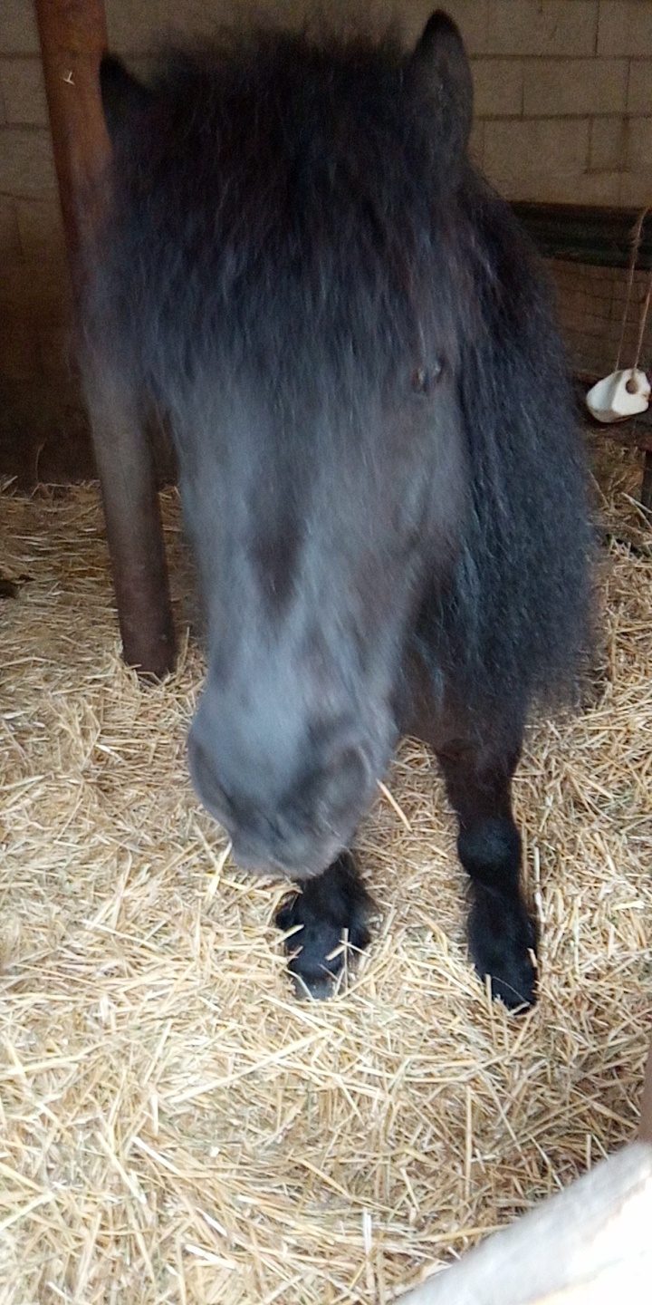 Photo n° 12 de l'avis de Cavalière.' fait le 30/06/2019 à 18:26