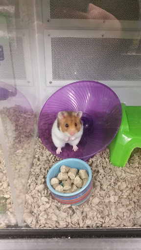 Pet Supply Store «Petco Animal Supplies», reviews and photos, 525 S 5th St, Bismarck, ND 58504, USA