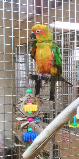 Pet Store «Pets World», reviews and photos, 147 Bridge St, Weymouth, MA 02191, USA