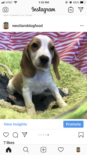 Pet Supply Store «Westland Dog Food Co Inc», reviews and photos, 37687 Ford Rd, Westland, MI 48185, USA