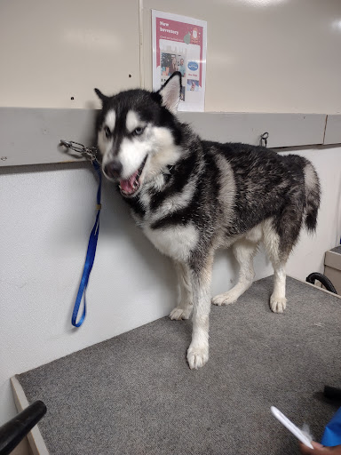 Pet Groomer «U Dirty Dog», reviews and photos, 232 Stevens Entry, Peachtree City, GA 30269, USA