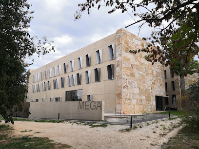 Aix-Marseille School of Economics