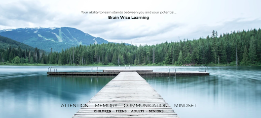 Brain Wise Learning