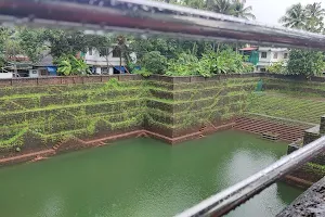 Peralassery Temple Pond image