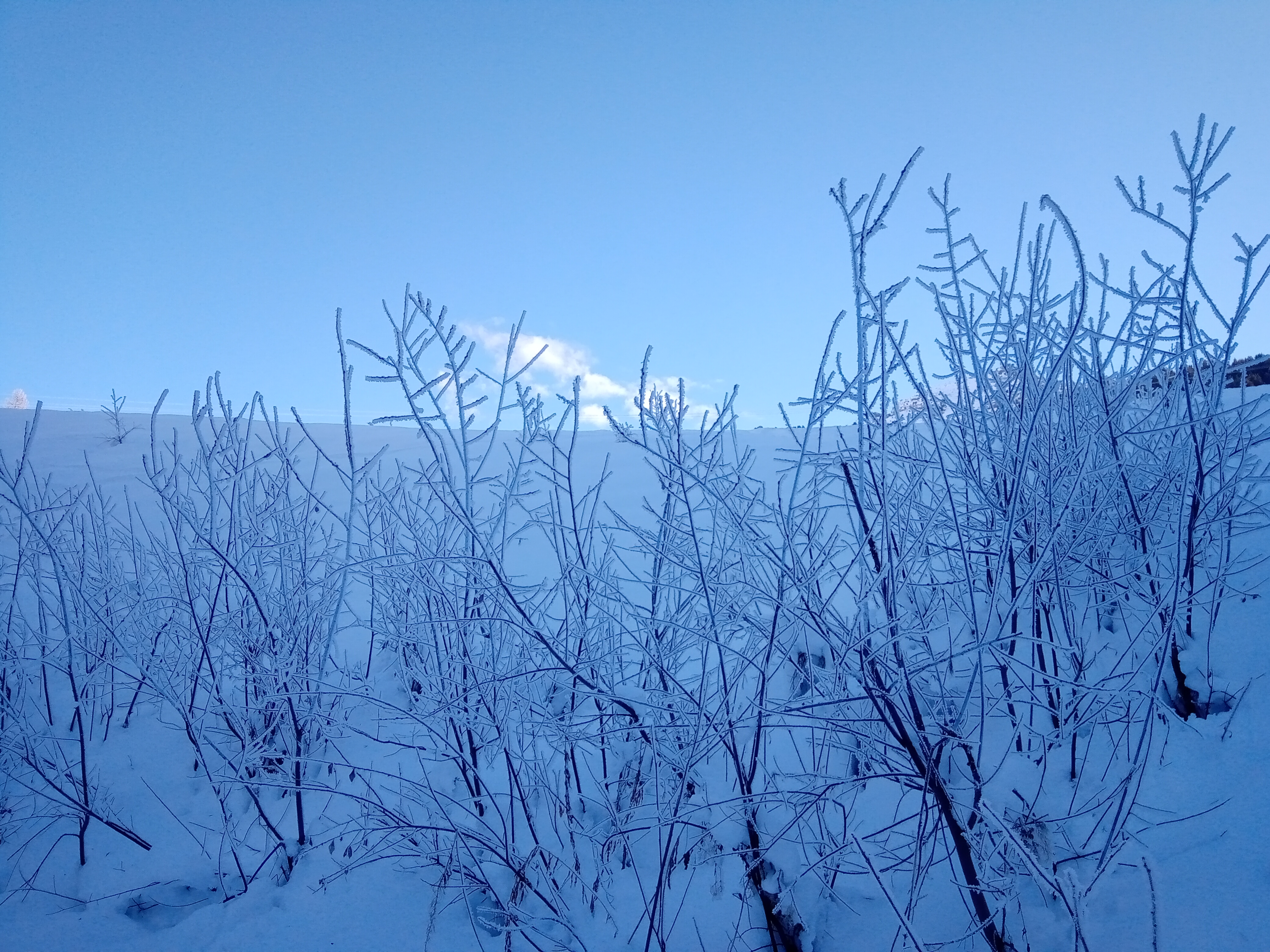 Photo n° 18 de l'avis de Laduig.6 fait le 29/01/2023 à 17:50