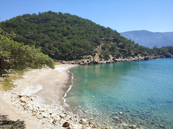 Papaz İskelesi