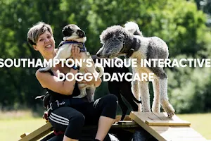 Pack Buddies Doggy Daycare Southampton image