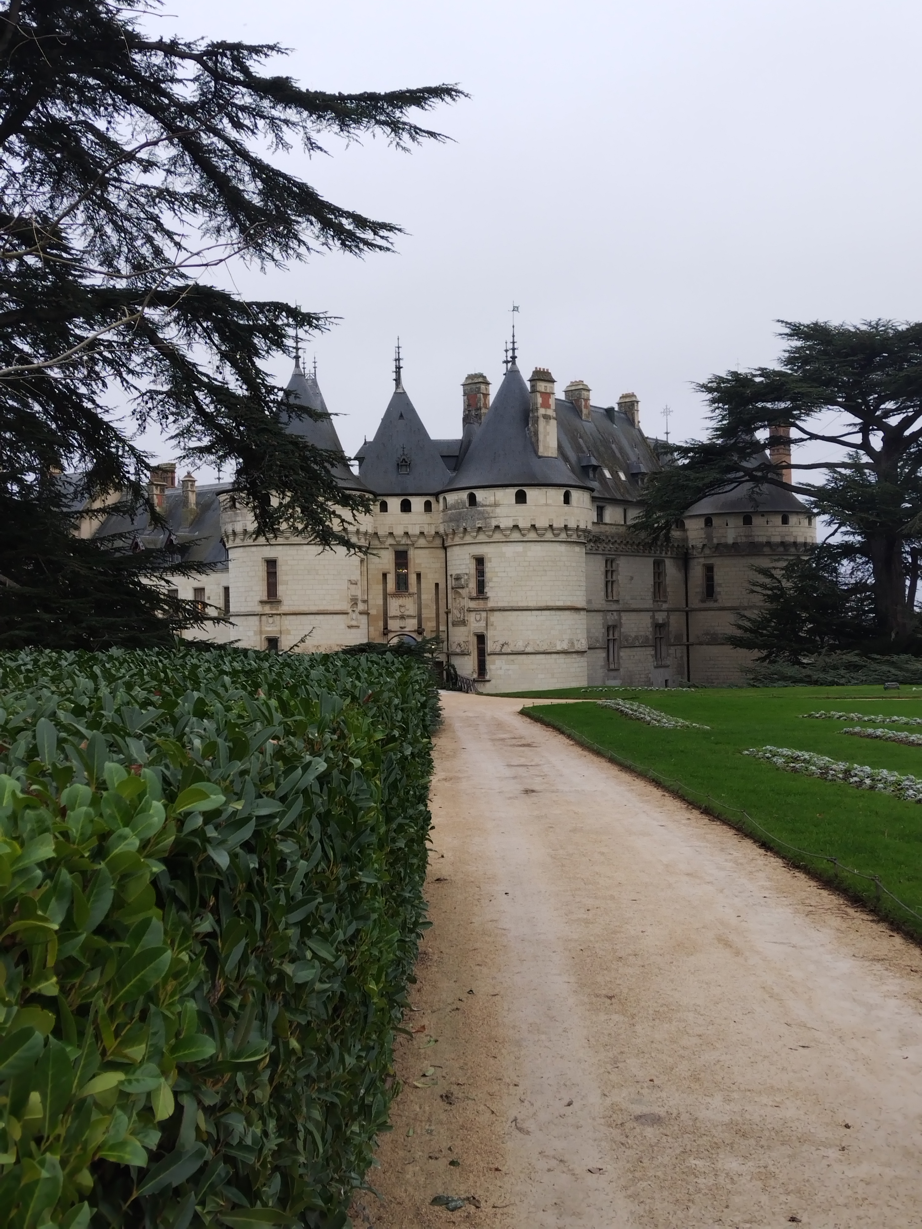 Photo n° 3 de l'avis de PATRICK.A fait le 26/01/2024 à 19:06