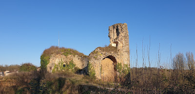 Ruines du Château Médiéval à Château-Larcher