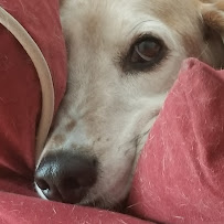 Happy Kitty NYC LLC - Photo 5 - Car repair in Manhattan, NY, Manhattan