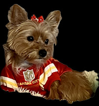 K-9 Kudos - Photo 4 - Car repair in Derby, KS, Wichita