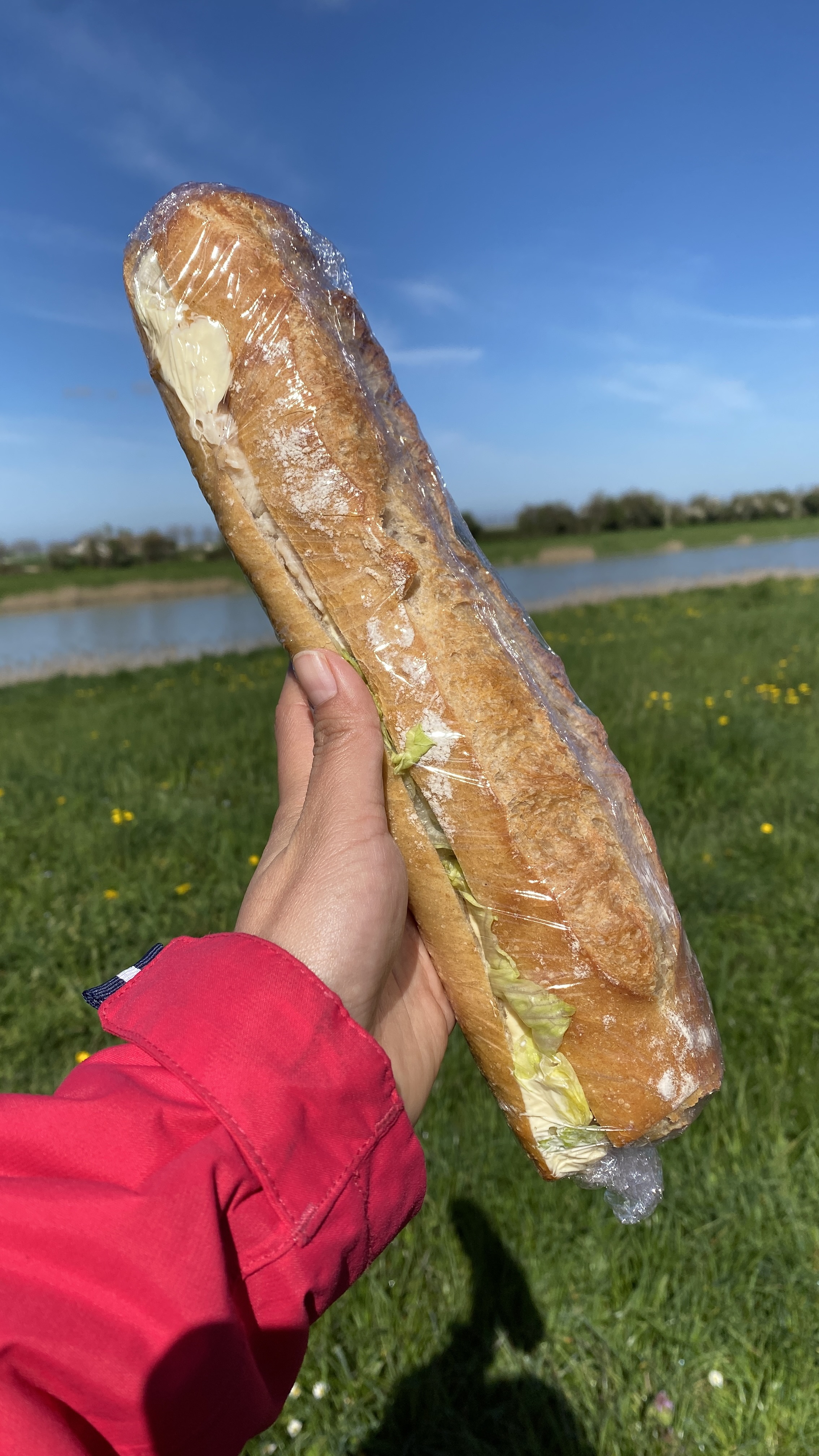 Photo n° 2 de l'avis de Fabiola.a fait le 08/04/2023 à 06:41
