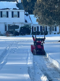 Eco Green Tree Services & Landscaping - Photo 7 - Car repair in Lawrenceville, NJ, Trenton