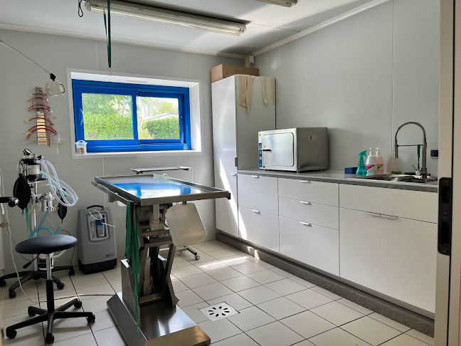 GSAB - Clinique Vétérinaire de Pluvigner