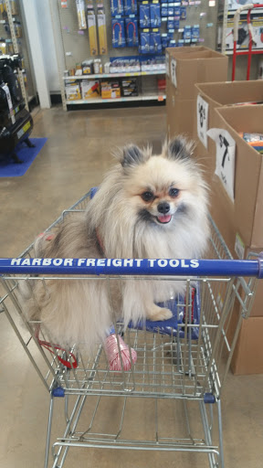 Hardware Store «Harbor Freight Tools», reviews and photos, 8884 Waltham Woods Rd, Parkville, MD 21234, USA