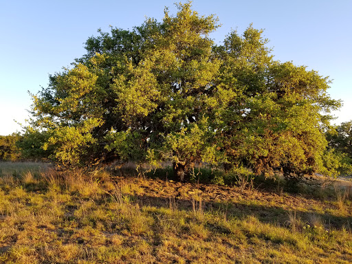 Nature Preserve «Joshua Springs Park and Preserve», reviews and photos, 716 Farm to Market 289, Comfort, TX 78013, USA