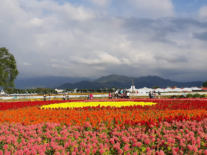 Xinshe Sea of Flowers(Middle Part)