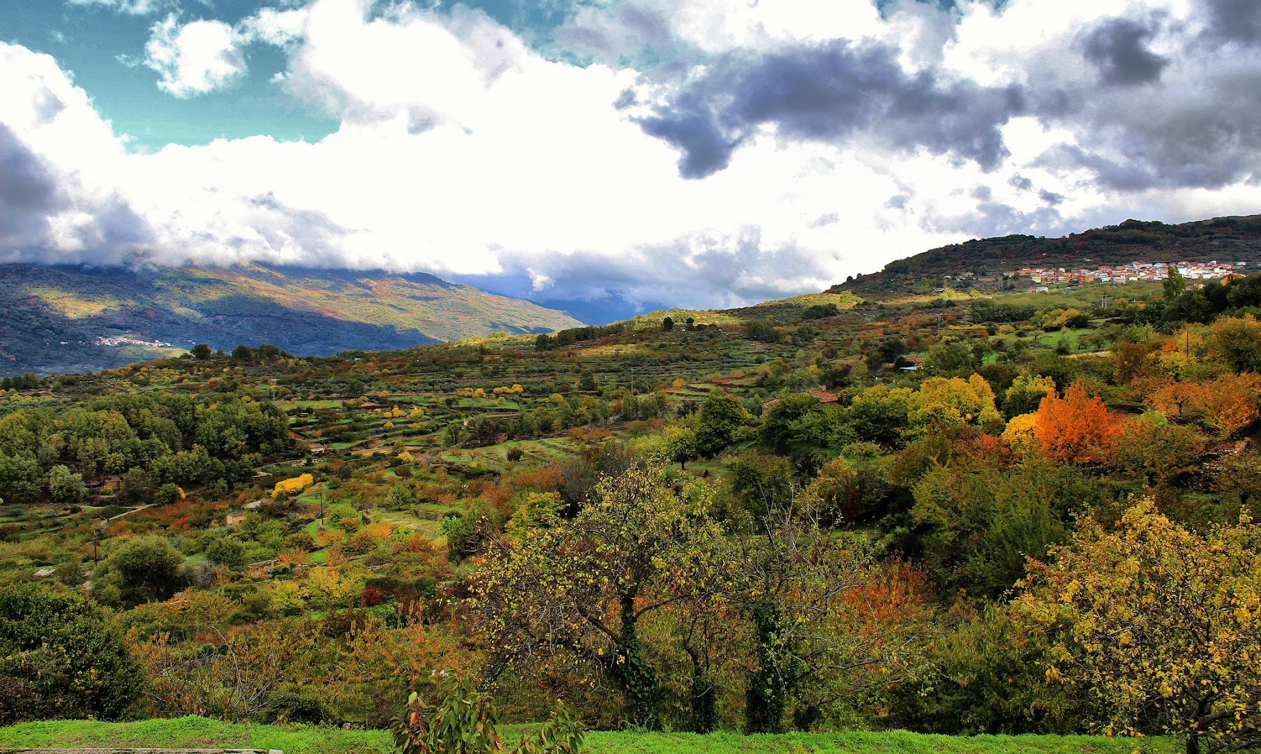 Oficina de Turismo del Valle del Jerte