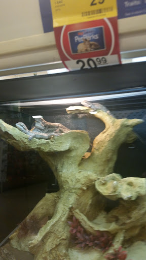Pet Supply Store «PetSmart», reviews and photos, 5050 SE 14th St, Des Moines, IA 50320, USA