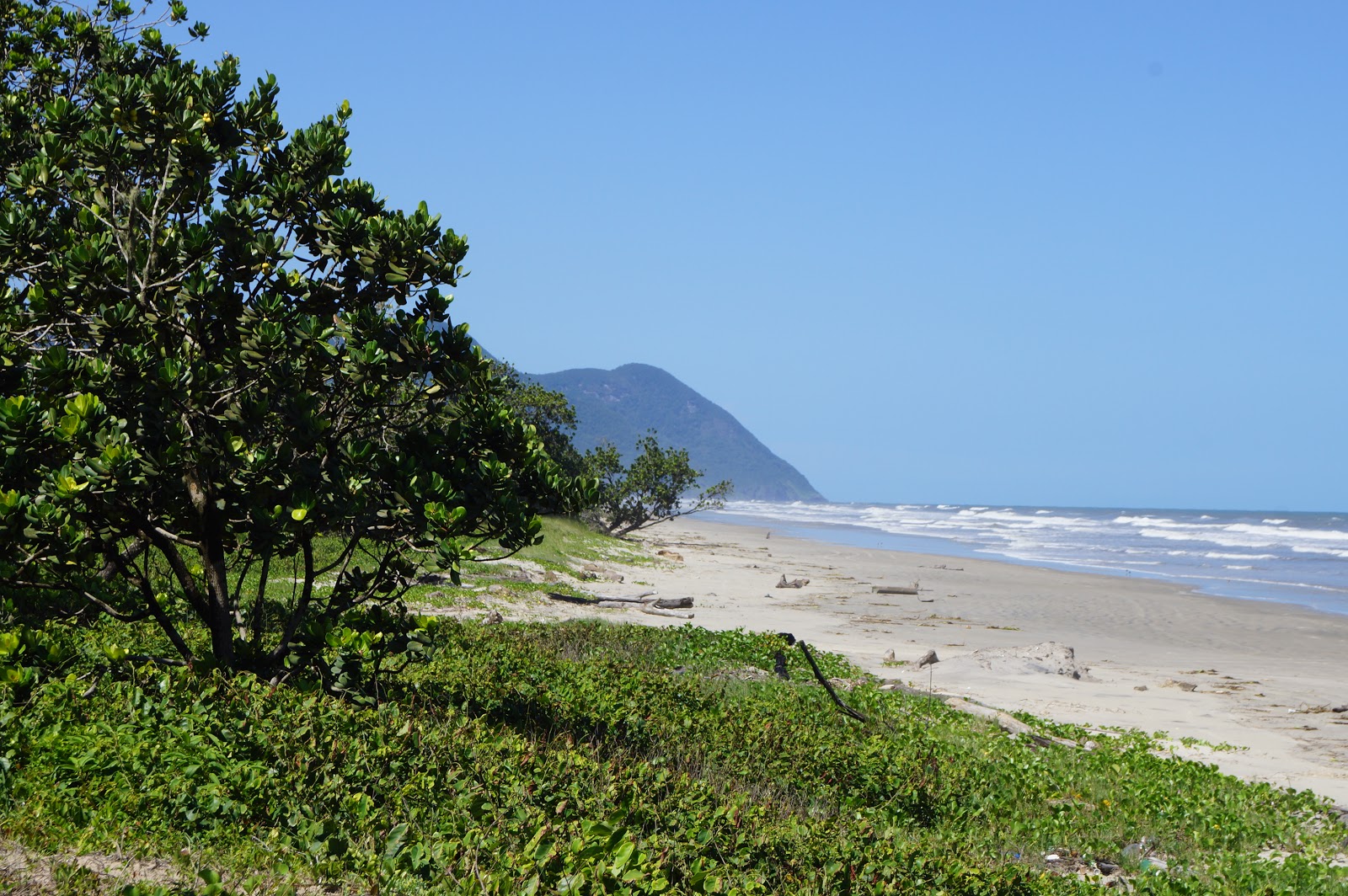 Photo of Juréia Beach and the settlement
